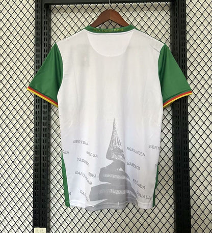 MAILLOT
CAMEROUN SPÉCIAL
25/26