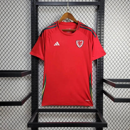 Maillot Pays de Galles Domicile
2024/2025