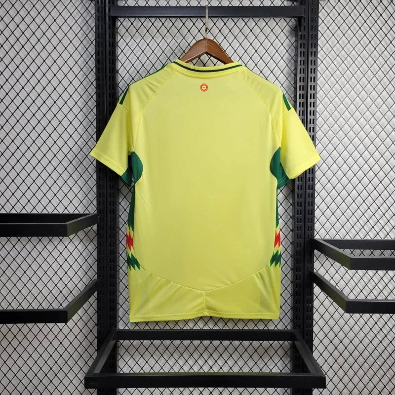 Maillot Pays de Galles Extérieur
2024/2025