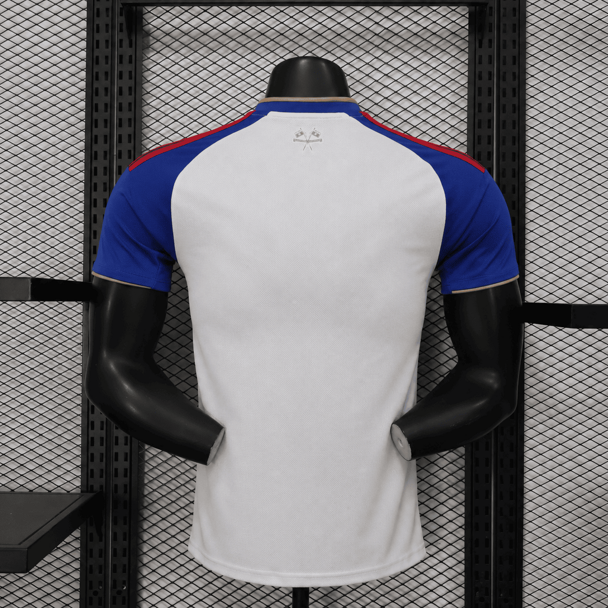 OLYMPIQUE LYONNAIS DOMICILE 26/27